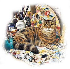 Gatto 4